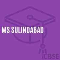 Ms Sulindabad Middle School Logo