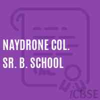 Naydrone Col. Sr. B. School Logo
