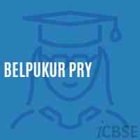 Belpukur Pry Primary School Logo