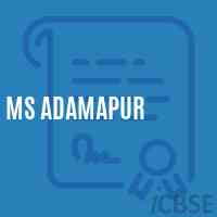 Ms Adamapur Middle School Logo