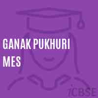 Ganak Pukhuri Mes Middle School Logo