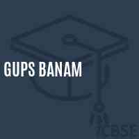 Gups Banam Middle School Logo