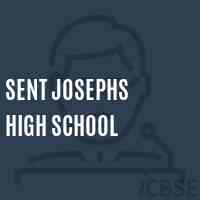 Sent Josephs High School Logo