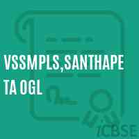 Vssmpls,Santhapeta Ogl Primary School Logo