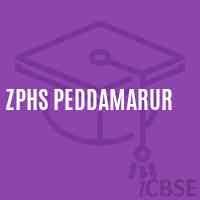 Zphs Peddamarur Secondary School Logo