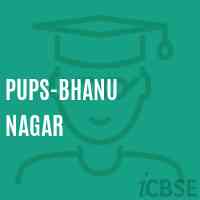 Pups-Bhanu Nagar Primary School Logo
