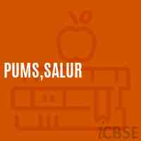 PUMS,Salur Middle School Logo