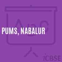 Pums, Nabalur Middle School Logo