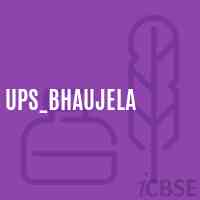 Ups_Bhaujela Middle School Logo