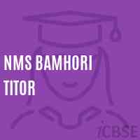 Nms Bamhori Titor Middle School Logo