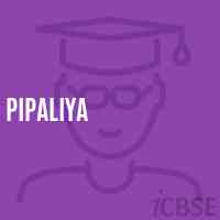 Pipaliya Middle School Logo