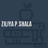 Ziliya P.Shala Primary School Logo