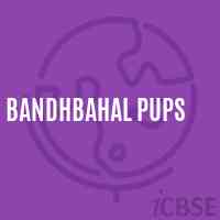Bandhbahal Pups Middle School Logo