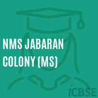 Nms Jabaran Colony (Ms) Middle School Logo