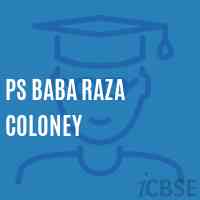 Ps Baba Raza Coloney Primary School Logo