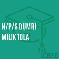 N/p/s Dumri Milik Tola Primary School Logo