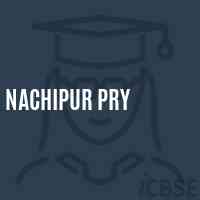 Nachipur Pry Primary School Logo