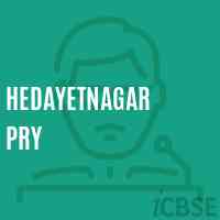 Hedayetnagar Pry Primary School Logo