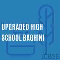 Upgraded High School Baghini Logo