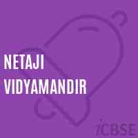 Netaji Vidyamandir Primary School Logo