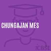 Chungajan Mes Middle School Logo