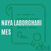 Naya Laborghari Mes Middle School Logo