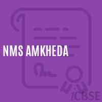 Nms Amkheda Middle School Logo