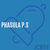 Phasula P.S Middle School Logo