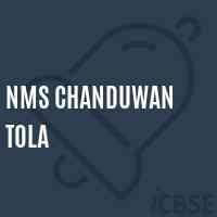 Nms Chanduwan Tola Middle School Logo