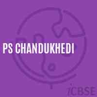 Ps Chandukhedi Primary School Logo