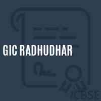 Gic Radhudhar High School Logo