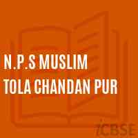 N.P.S Muslim Tola Chandan Pur Primary School Logo