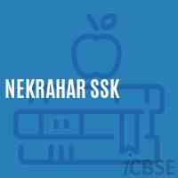 Nekrahar Ssk Primary School Logo