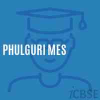 Phulguri Mes Middle School Logo