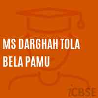 Ms Darghah Tola Bela Pamu Middle School Logo