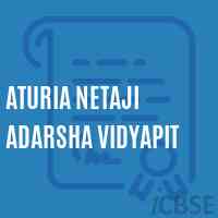 Aturia Netaji Adarsha Vidyapit Secondary School Logo