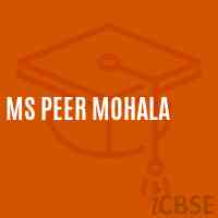 Ms Peer Mohala Middle School Logo