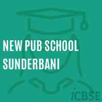 New Pub School Sunderbani Logo