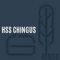 Hss Chingus High School Logo