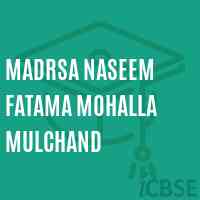 Madrsa Naseem Fatama Mohalla Mulchand Middle School Logo