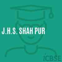 J.H.S. Shah Pur Middle School Logo