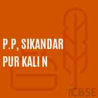 P.P, Sikandar Pur Kali N Primary School Logo