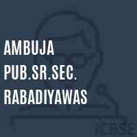 Ambuja Pub.Sr.Sec. Rabadiyawas Senior Secondary School Logo