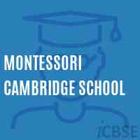 Montessori Cambridge School Logo