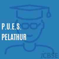 P.U.E.S. Pelathur Primary School Logo