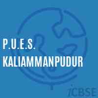 P.U.E.S. Kaliammanpudur Primary School Logo