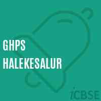 Ghps Halekesalur Middle School Logo