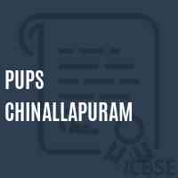 Pups Chinallapuram Primary School Logo