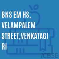 Bns Em Hs, Velampalem Street,Venkatagiri Secondary School Logo