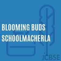 Blooming Buds Schoolmacherla Logo